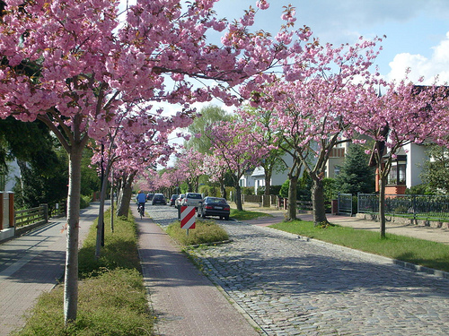 Beste Anzeichen für den Frühling